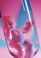 美国正规试管婴儿费用多少钱？成功率咋样？