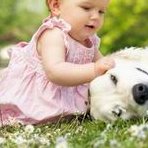 三代试管怀孕生孩子有危险吗？厦门三代试管怀孕生孩子机构排名公布