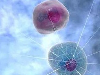 2026年柬埔寨试管婴儿三代技术全部流程讲解，优势有哪些一览